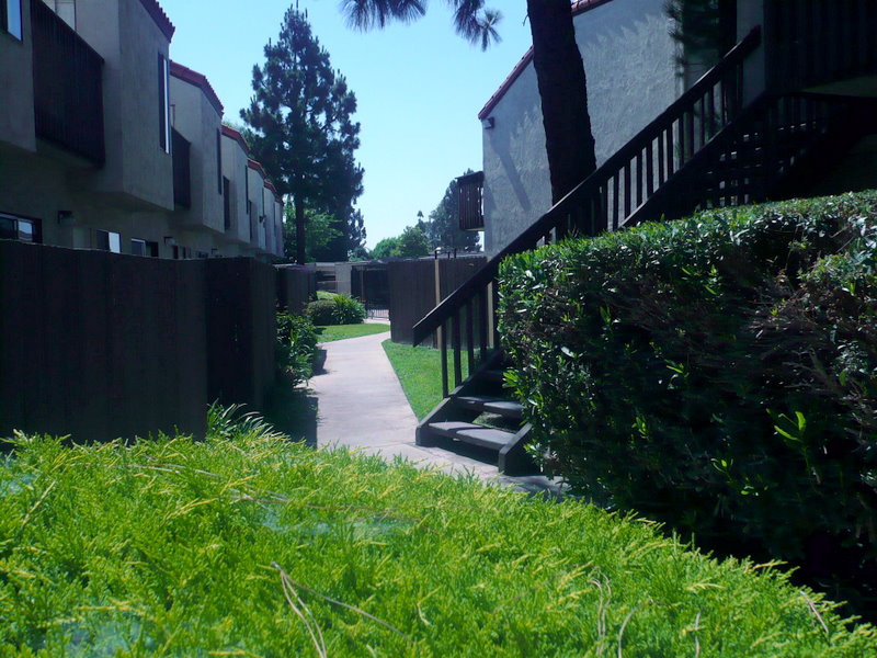 Picture or Video 483.JPG